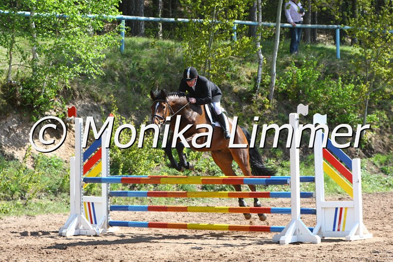 004M1774_Cantorio_Springpferde A xx.JPG